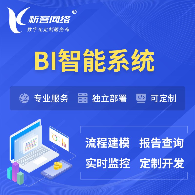 许昌BI智能系统 | BI数据可视化